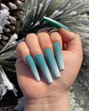 Frosted Spruce
