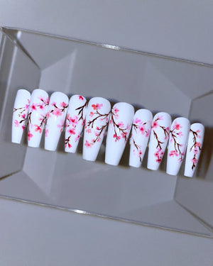 Cherry Blossom II