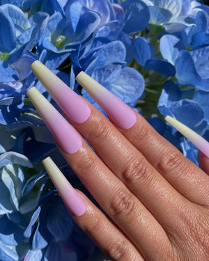 Hydrangea Pink