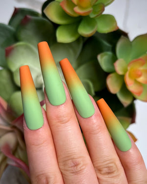 Succulent II
