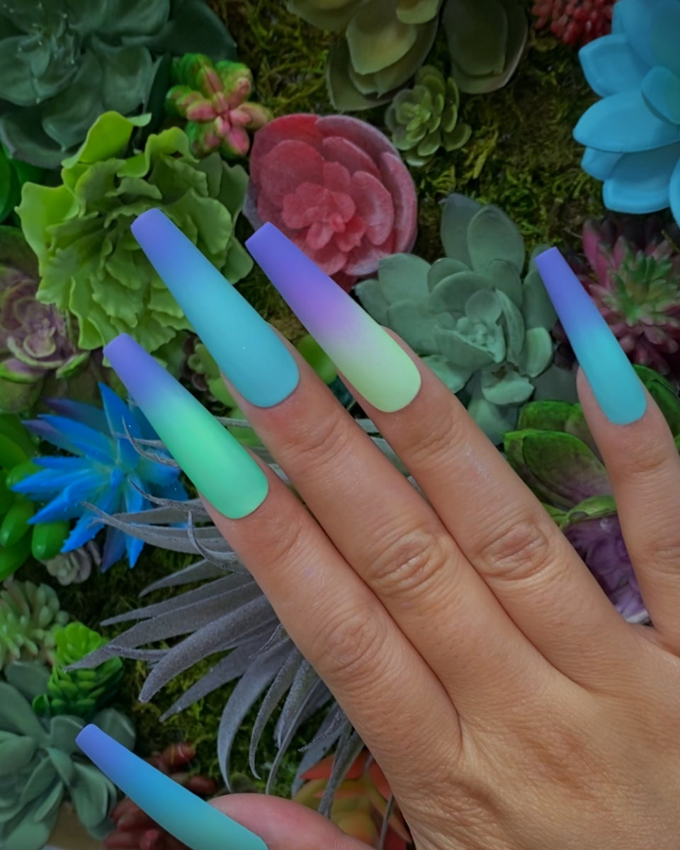 Succulent – Pamper Nail Gallery