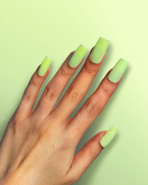 Pastel Green