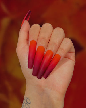 Scarlet Oak