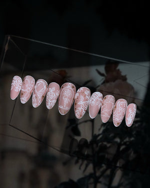 Hidden Belle Lace