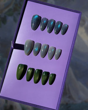 Midsummer Night's Dream Bundle