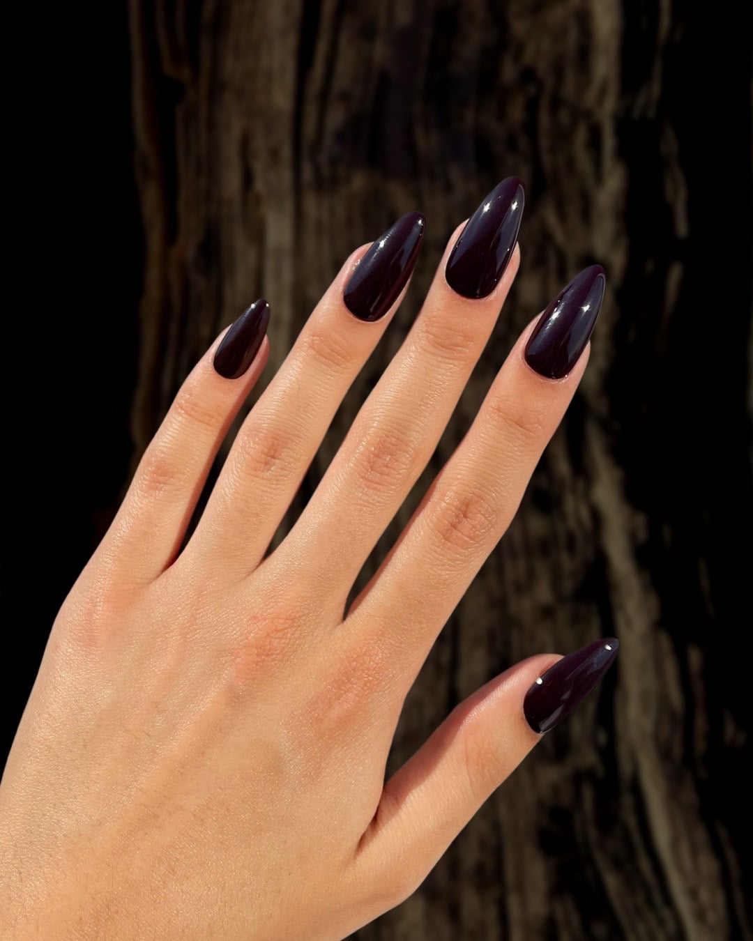 Espresso – Pamper Nail Gallery